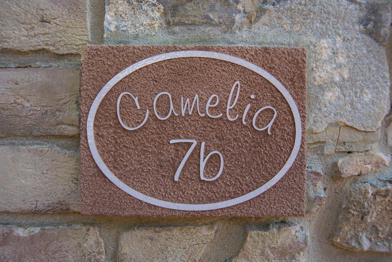 Agriturismo Le Gallozzole 몬테리지오니 외부 사진